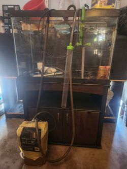 65 gallon fish tank