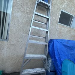 Ladder