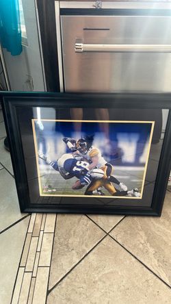 Football Troy Palamalu. Autograph 16x20 picture