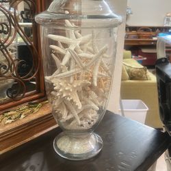 Apothecary Filled With Starfish Vintage
