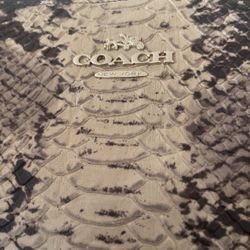 Coach Python Ava Tote