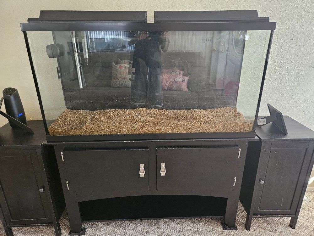 60 Gallon Fish Tank 