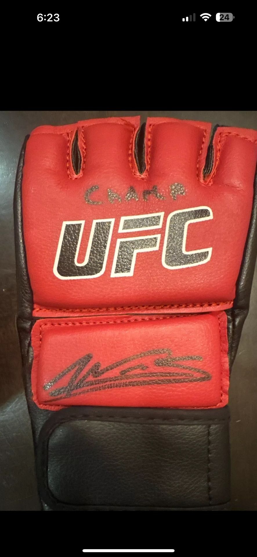 UFC Glove