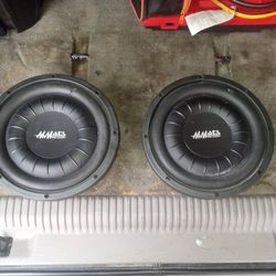 1,000 W Shallow Mounted 10 Inch Subwoofers