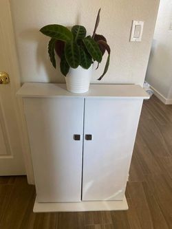 Wood Storage Cabinet