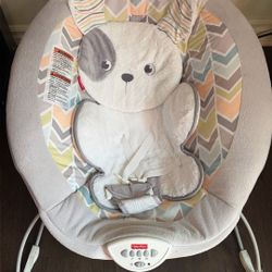 Baby Bouncer