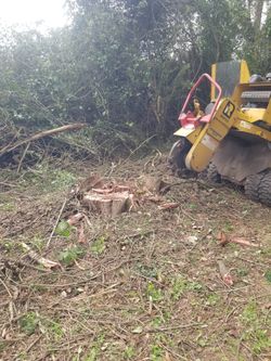 Stump grinding S3RV1CE