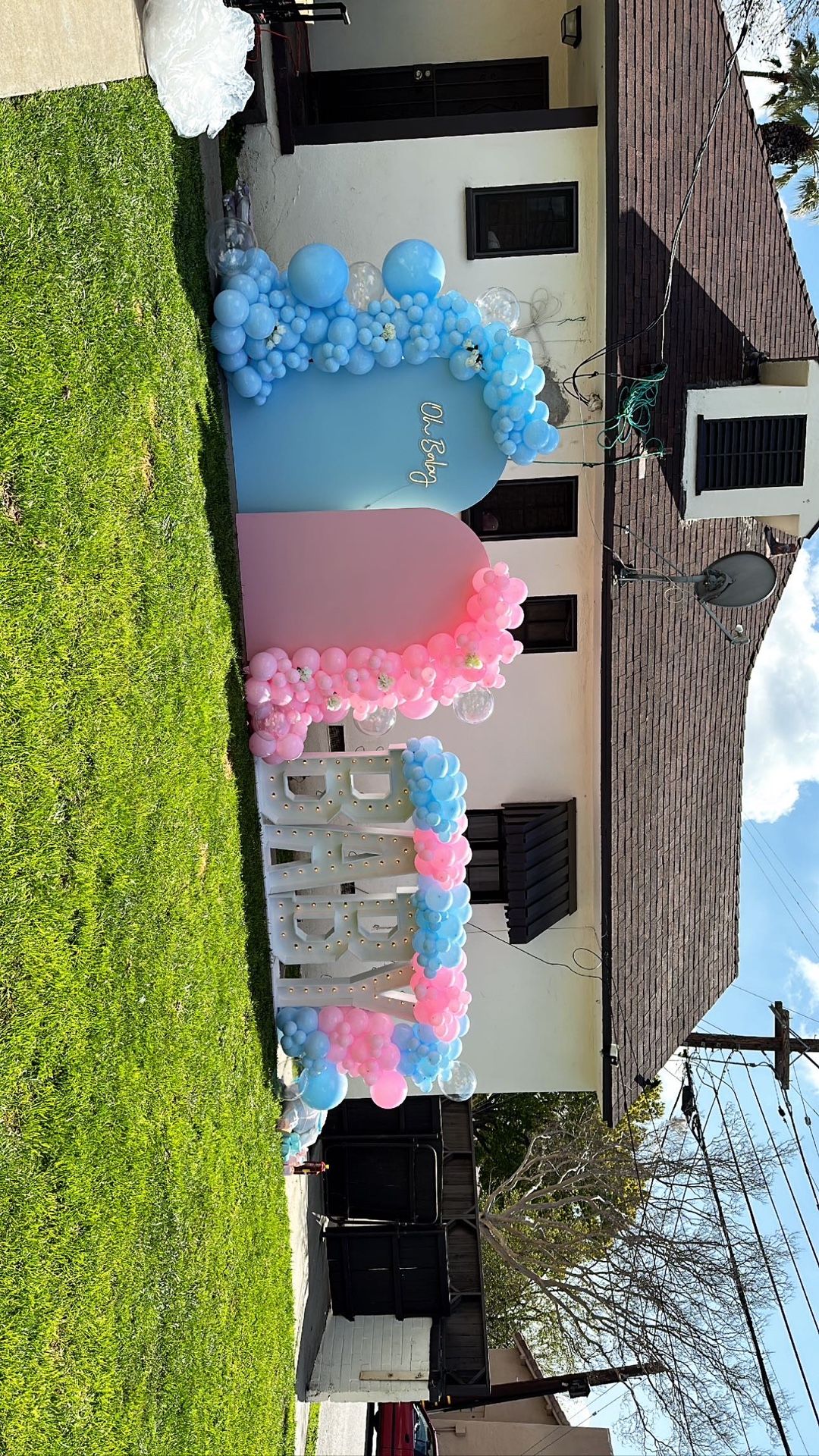 Balloon Garland