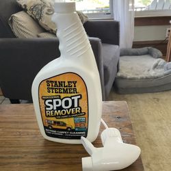 Stanley Steamer Spot Removal