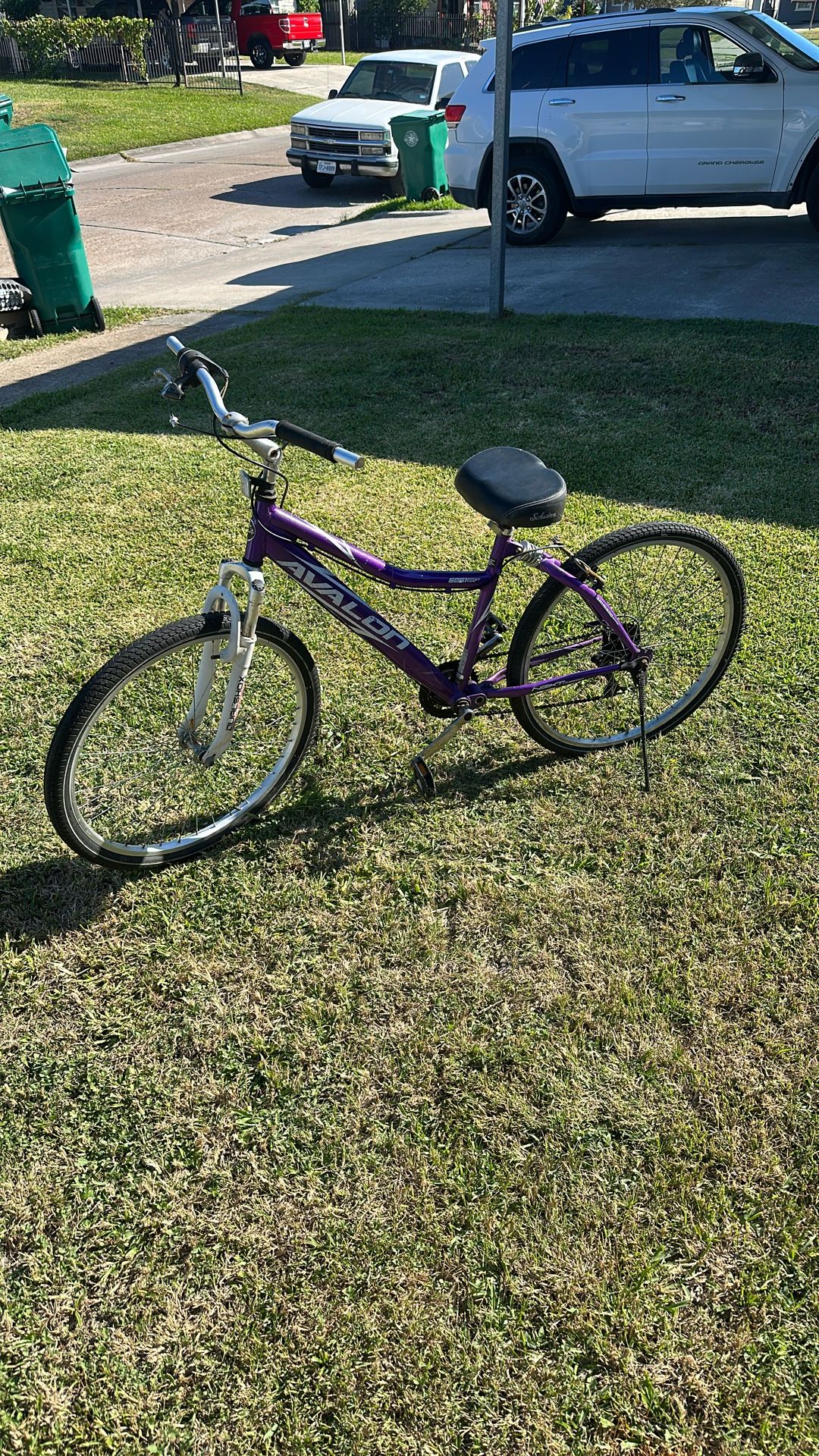 Schwinn Avalon 2008 Bike 