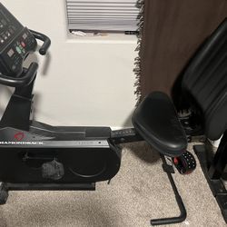 Recumbent Bike