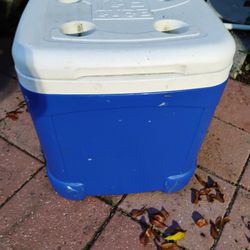 Igloo Cooler