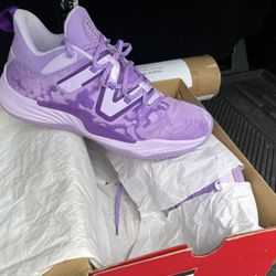 SGA Nike Dunks Force One Kobe Jordan vintage Suns 