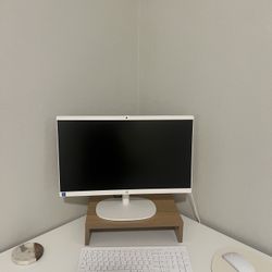 HP 22" All-in-One Desktop PC