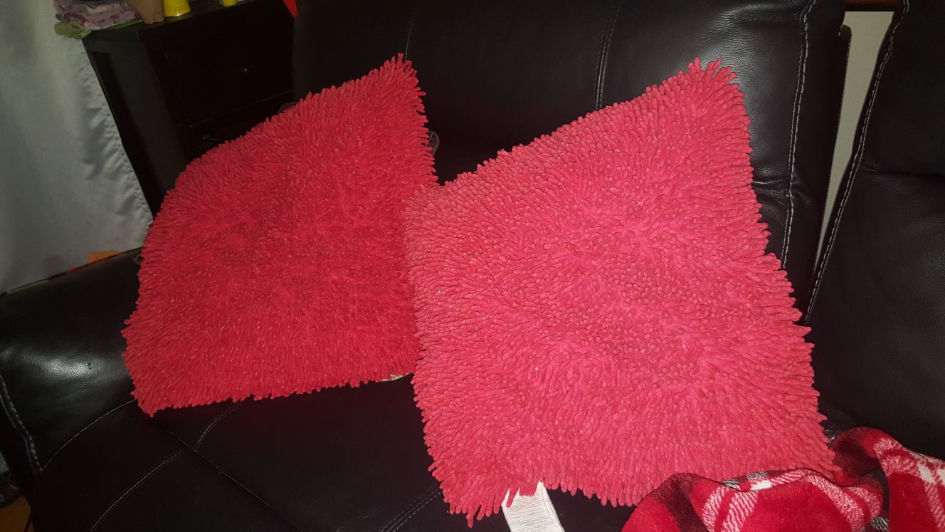 Set of 2 Red Couch Pillows