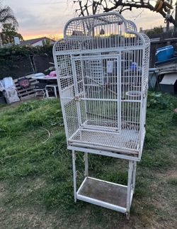 Big Birds Cages  🦜🦜