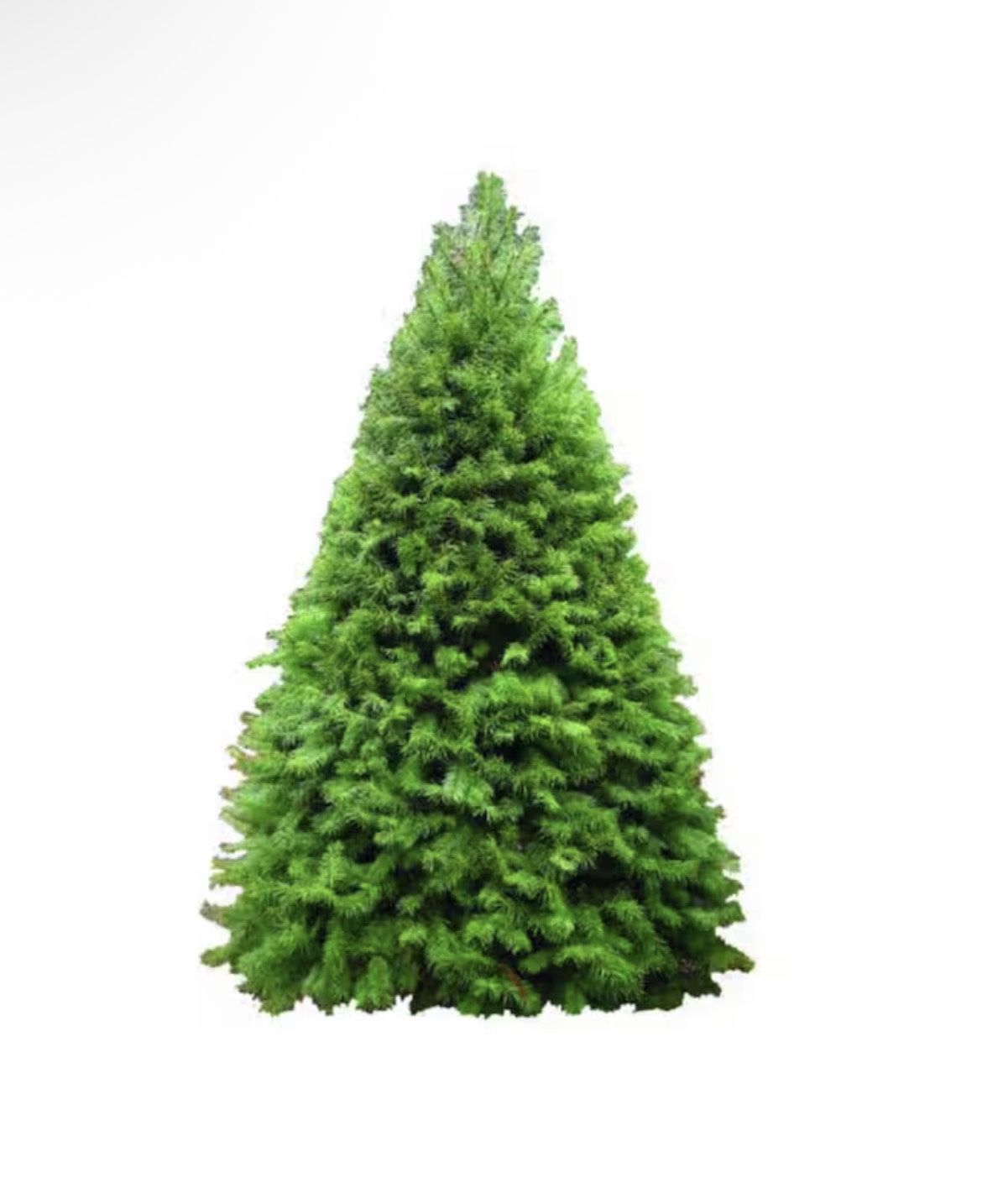 Christmas Tree (Free Delivery + Set up)