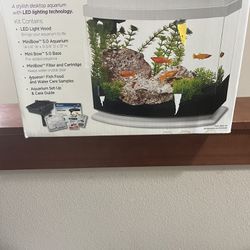 Cute fish tank comes with lots of plants for inside and crystal rocks asking 30 for everything or you’ll need is the fish