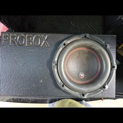 Audiopipe 10 Speaker