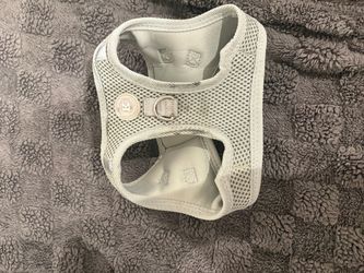XS dog harness