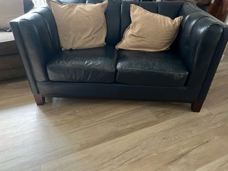 Love seat sofa
