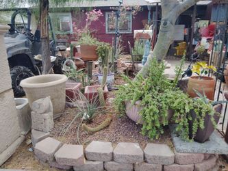 Yard statues and decor $10 and UP