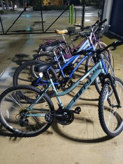 Adult bicycle