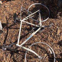 Specialized Hard rock Frame 1991 Size Medium