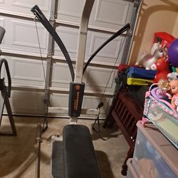 Schwin Bowflex
