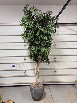 Arhaus furniture artificial ficus tree 9’