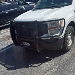 Ford f150 Brush Guard