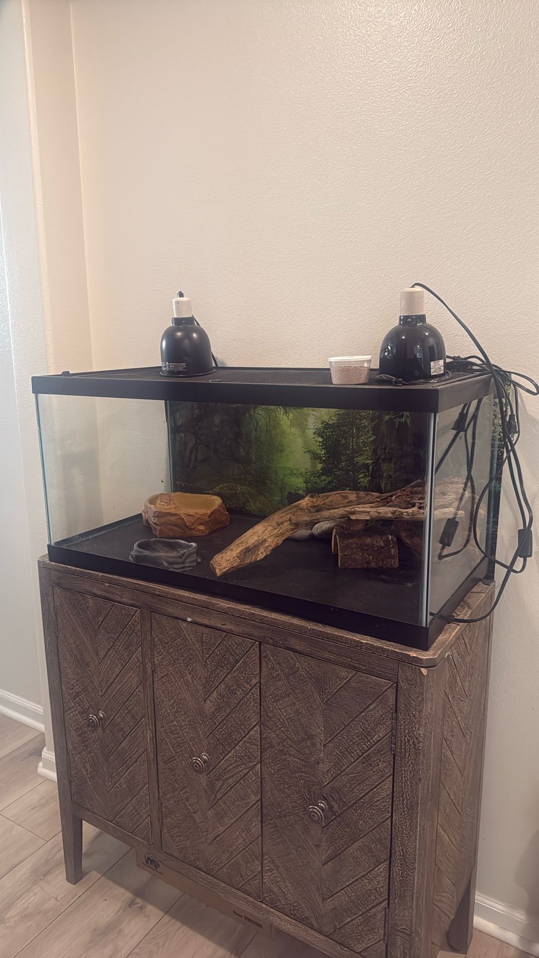 Reptile Tank