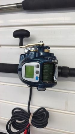 Electric fishing pole
