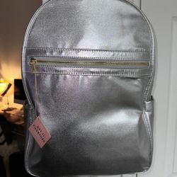 Silver Backpack With Pink Lining