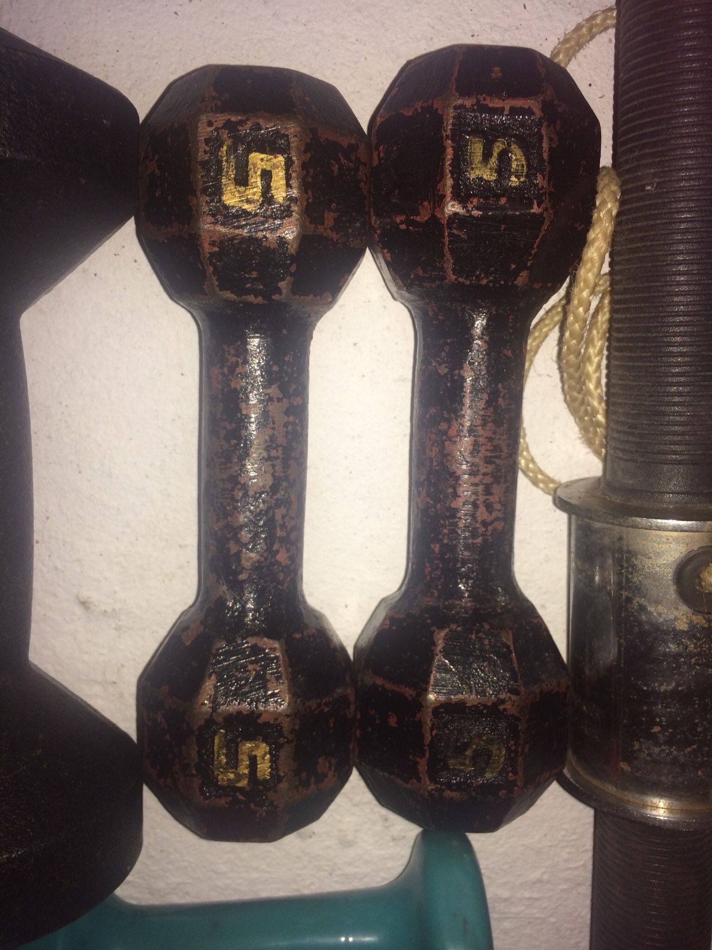 5 lb dumbbells