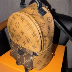 Louis Vuitton Palm Springs mini reverse monogram 