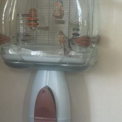 Bird Cage 