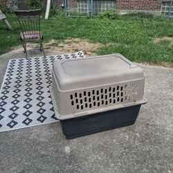 Big dog crate for big dog