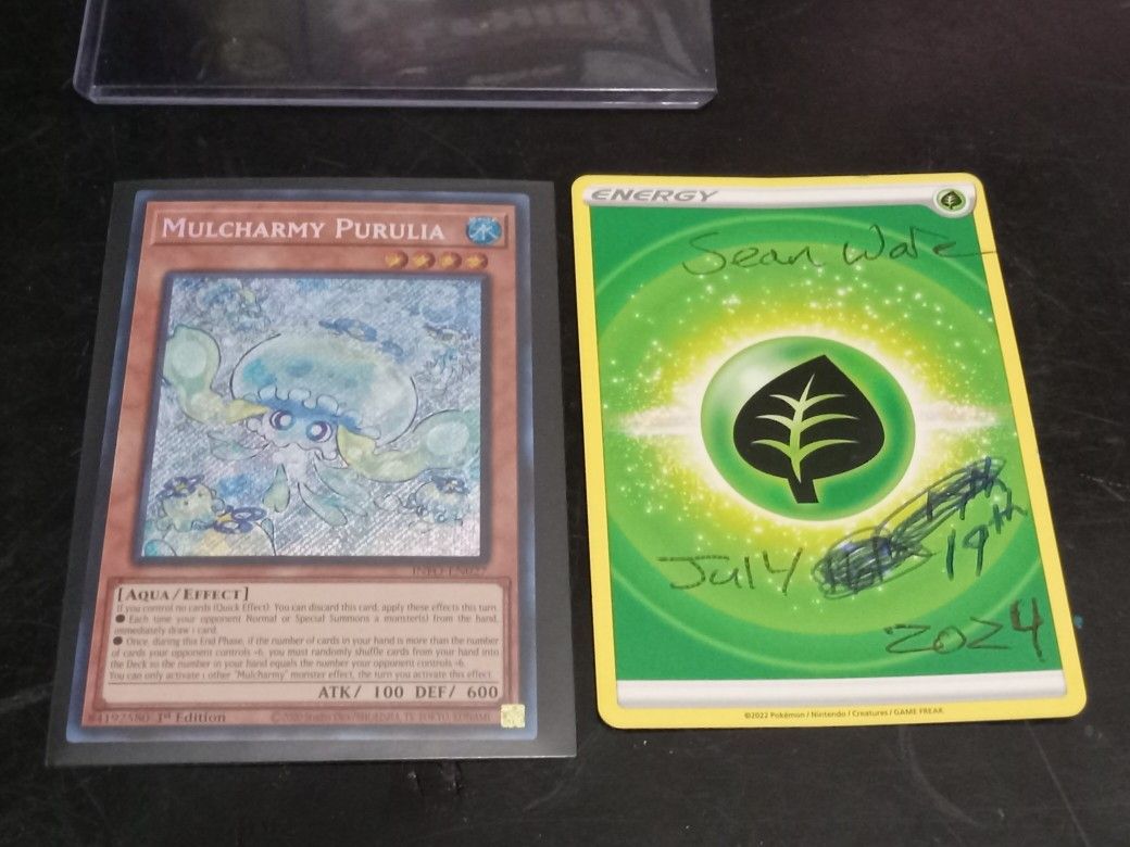 Yugioh  Mulcharmy Purulia From The New Exodia Box Out. Says Listed Median Price Is 39.99 $On Tcg Player Selling mine For 30$