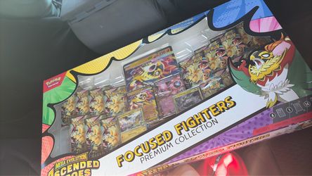 Focused Fighters Pokemon Ascended Hero’s