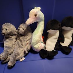 Beanie Baby Water Creatures