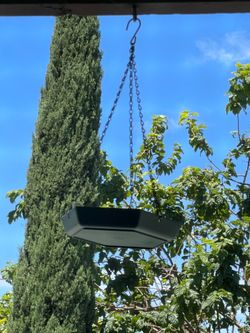 Hanging bird feeder tray
