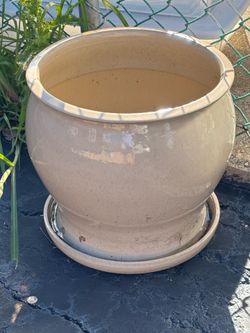 Pretty cream colored ceramic flower pot