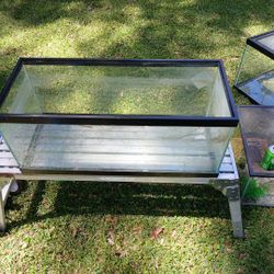 20-25 Gallon Fish Tank (No Lid)