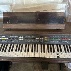 Organ 
