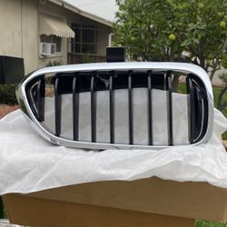 Bmw Grill