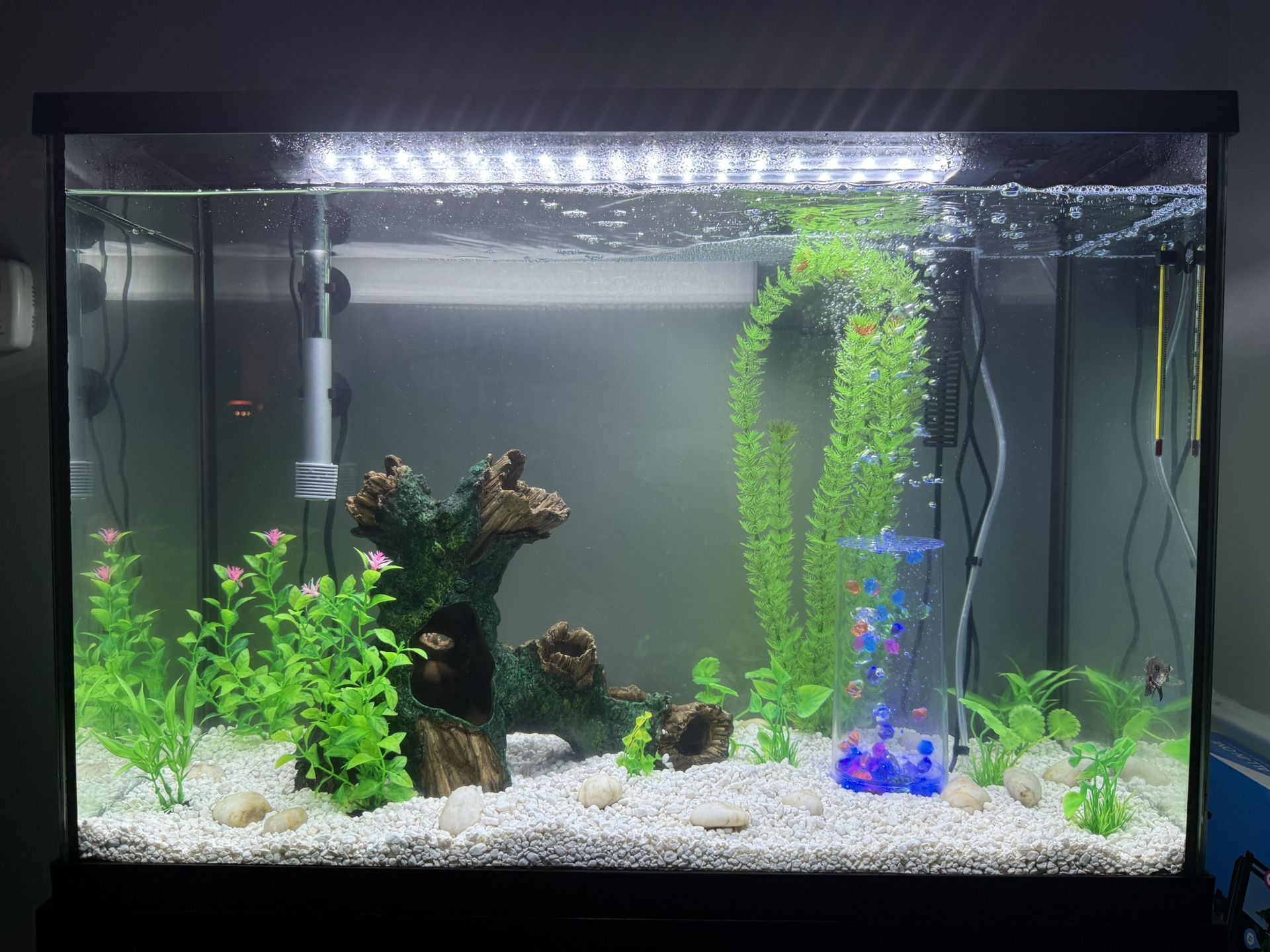 30 GALLON FISH TANK