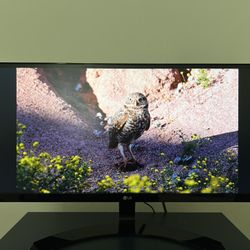 29” LG Ultrawide 21:9 Monitor 2560x1080p