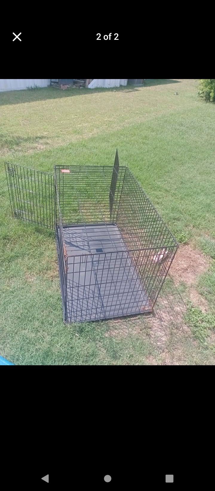 Kong Dog Crate