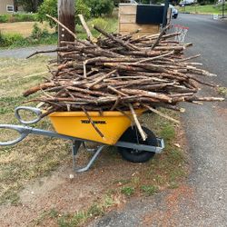 Fire Wood, Branches For Bush Craft Free